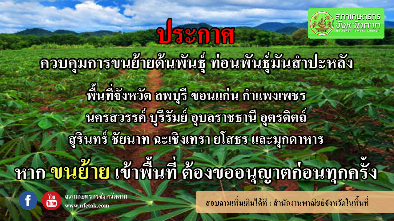 ประกาศควบคุมการขนย้ายพันธุ์ ท่อนพันธุ์มันสำปะหลัง
