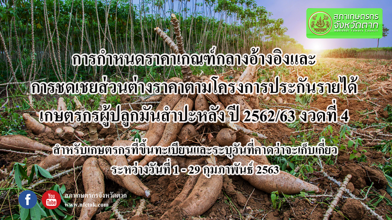 ประกาศการกำหนดราคาเกณฑ์กลางอ้างอิงและการชดเชยส่วนต่างราคาตามโครงการประกันรายได้เกษตรกรผู้ปลูกมันสำปะหลัง ปี 2562/63 (งวดที่ 4)