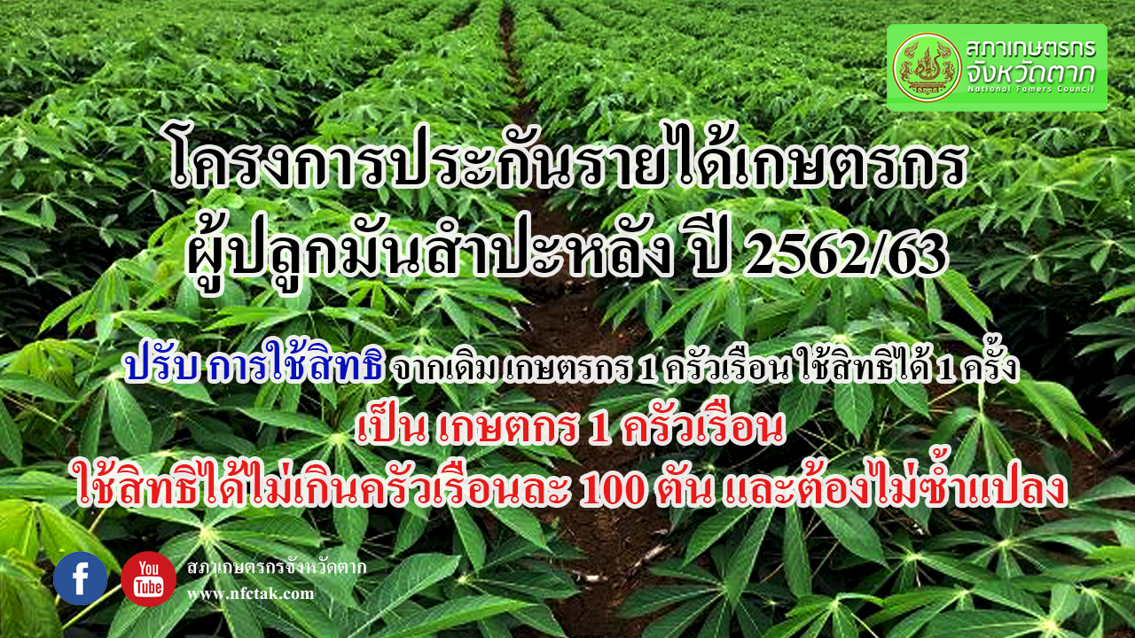 ประกาศคณะอนุกรรมการกำกับดูแลและกำหนดเกณฑ์กลางอ้างอิงโครงการประกันรายได้เกษตรกรผู้ปลูกมันสำปะหลัง ปี 2562/63