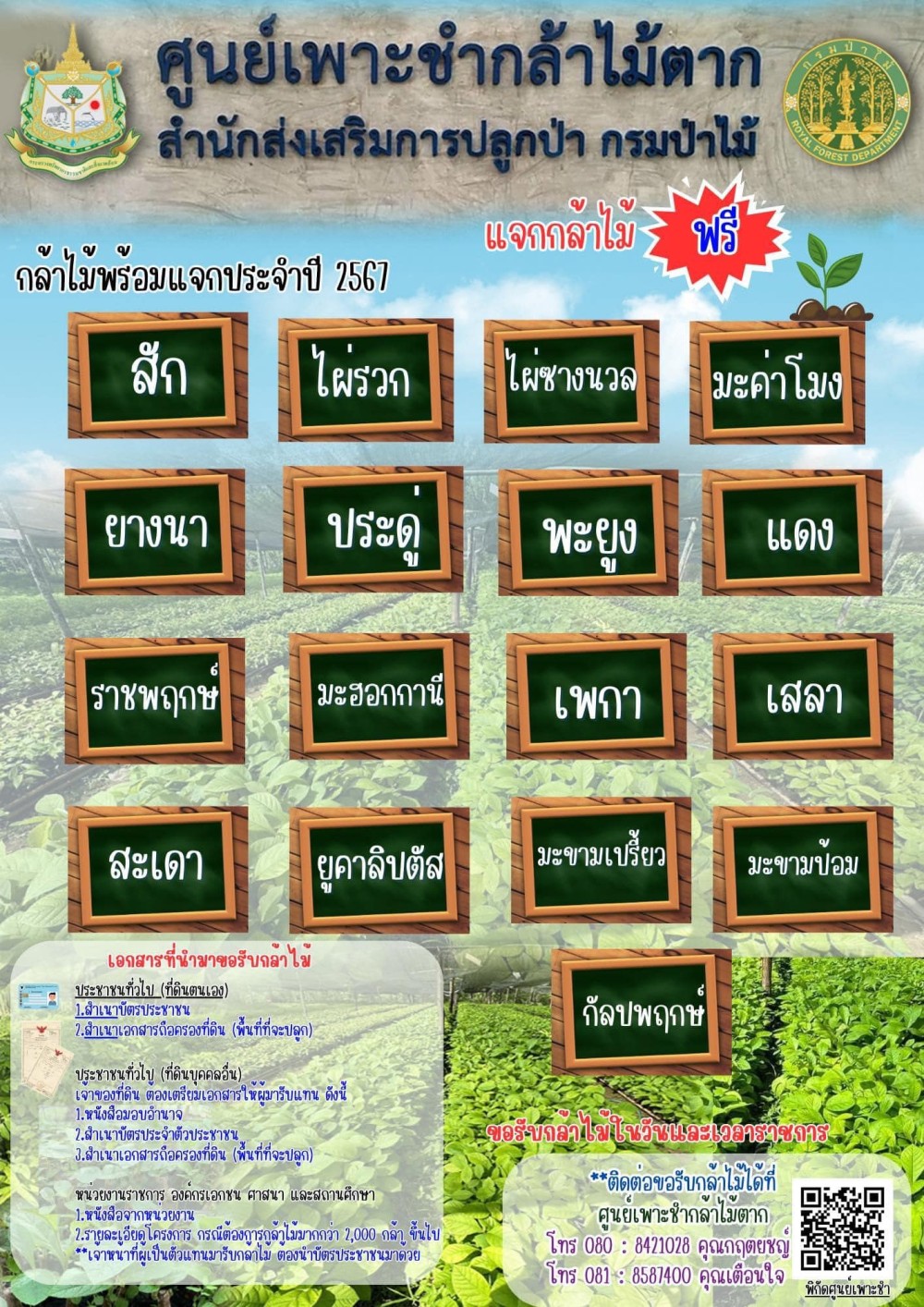 ประชาสัมพันธ์แจกกล้าไม้