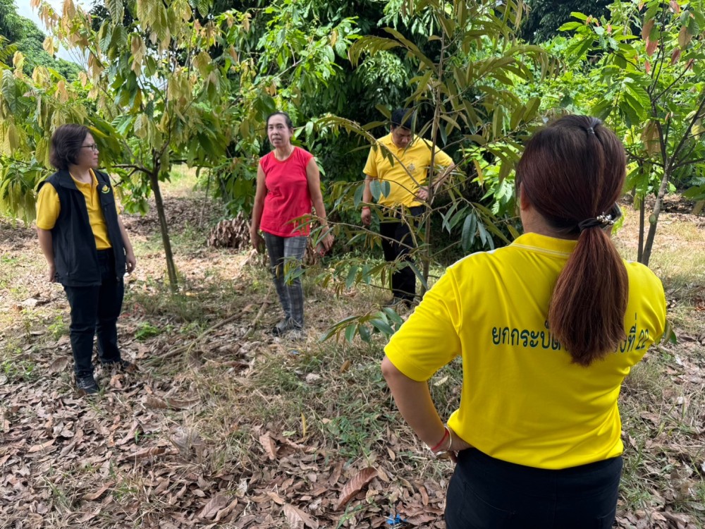 ลงพื้นที่เก็บข้อมูลสภาพปัญหาการผลิตและการตลาดโกโก้ อำเภอสามเงา