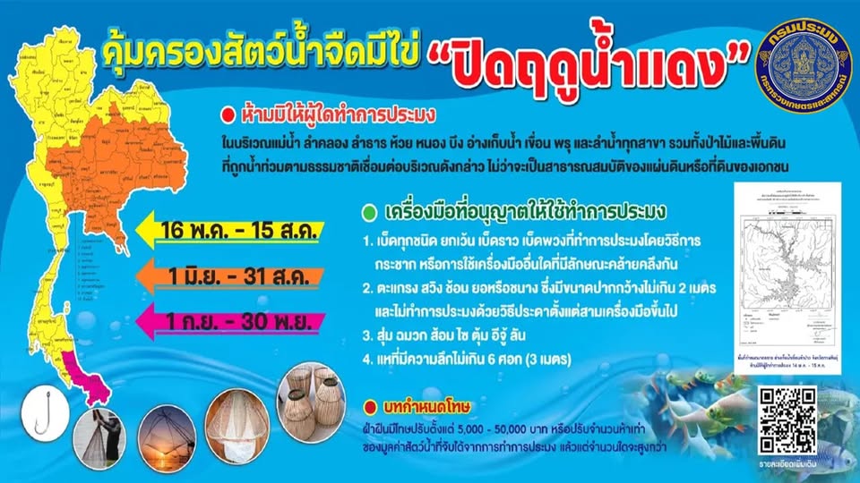 สำนักงานประมงอำเภอเมืองตาก ขอประชาสัมพันธ์ ฤดูปลาวางไข่ ปี 2569